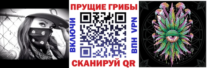 купить закладку  Инта  mega рабочий сайт  Галлюциногенные грибы MAGIC MUSHROOMS 